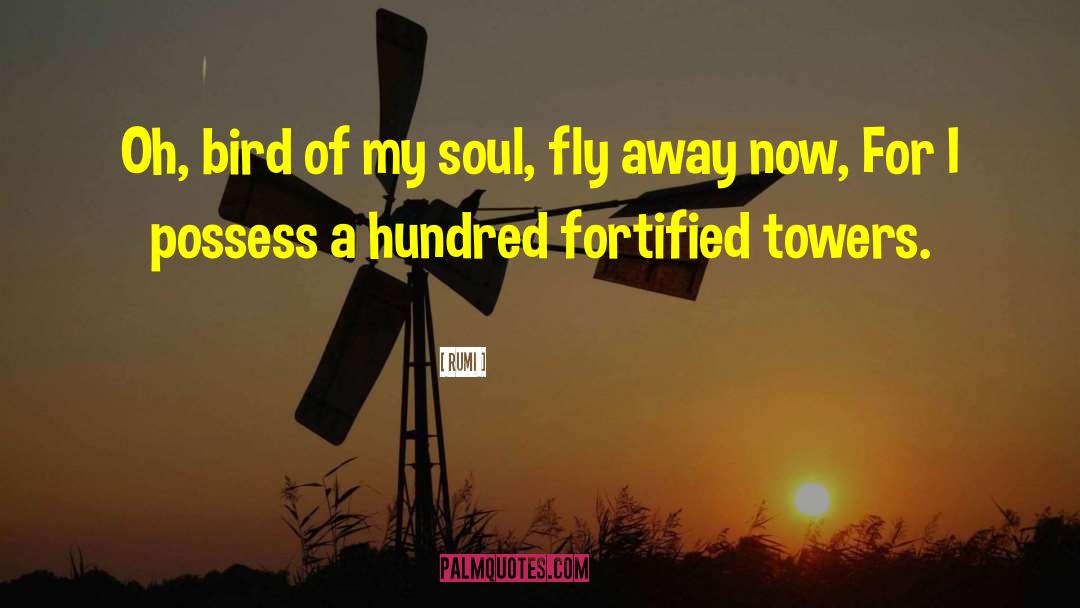 Fly Away quotes by Rumi