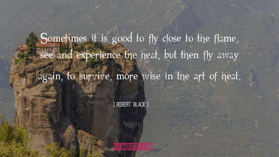 Fly Away quotes by Robert  Black