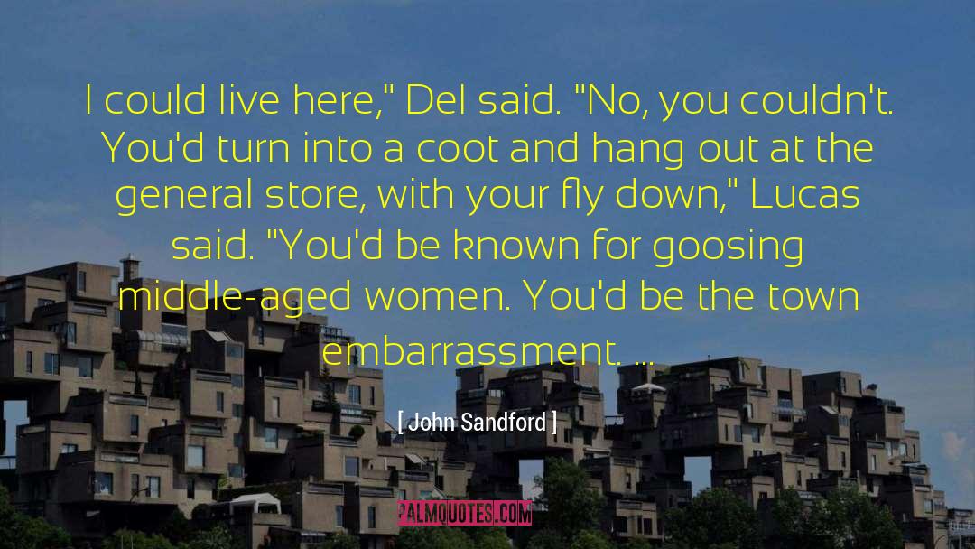 Fly Down quotes by John Sandford