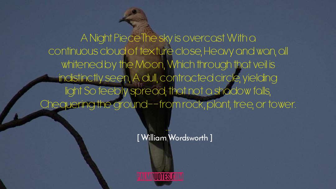Fly In The Peaceful Sky quotes by William Wordsworth