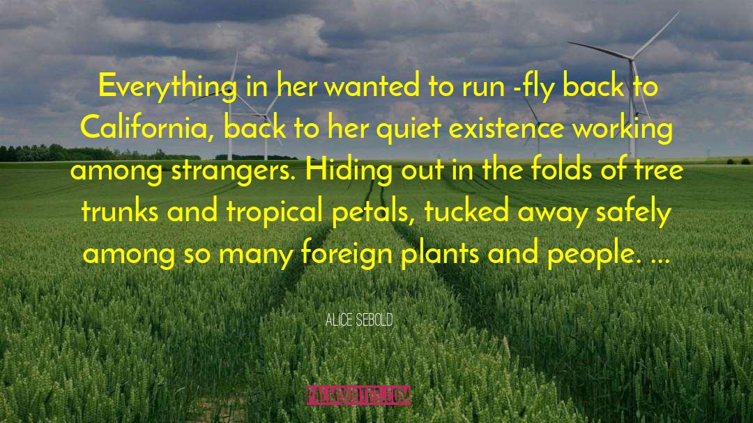 Fly In The Peaceful Sky quotes by Alice Sebold