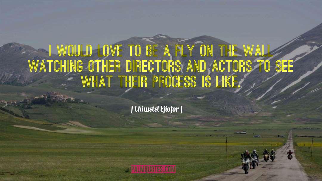 Fly On The Wall quotes by Chiwetel Ejiofor