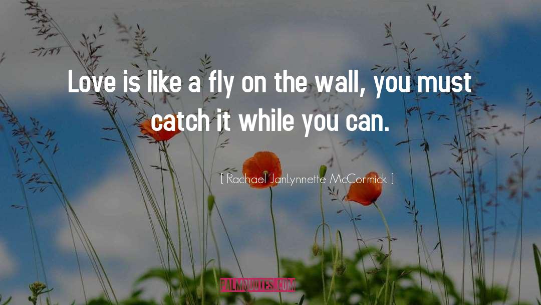 Fly On The Wall quotes by Rachael JanLynnette McCormick