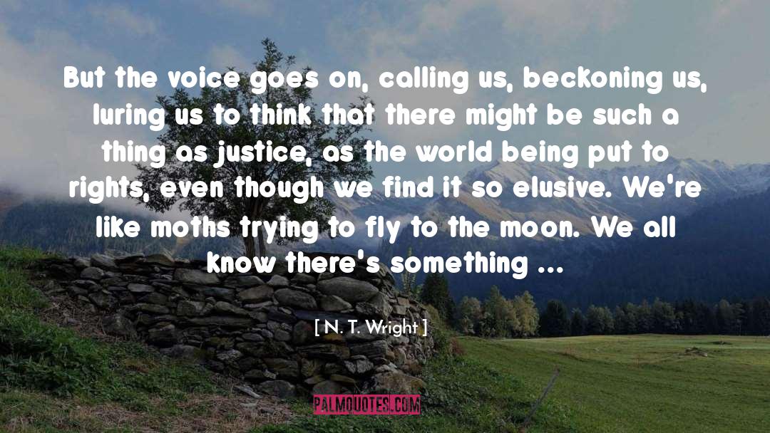 Fly To The Moon quotes by N. T. Wright