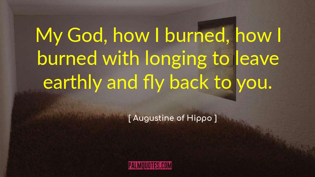 Fly With Hopes quotes by Augustine Of Hippo