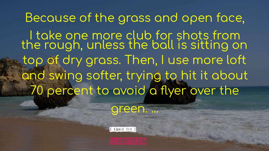 Flyer quotes by Ernie Els