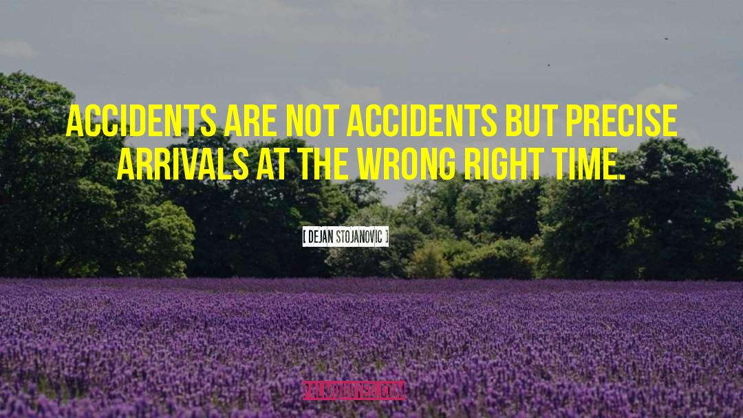 Flying Accidents quotes by Dejan Stojanovic