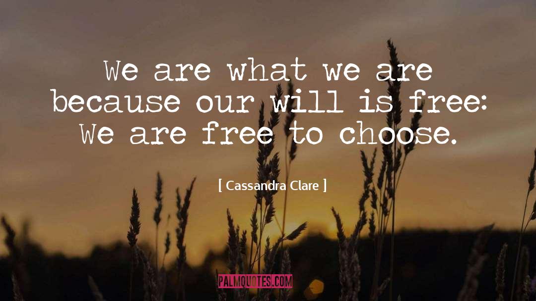 Flying Free quotes by Cassandra Clare