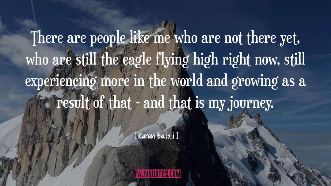 Flying High quotes by Karan Bajaj