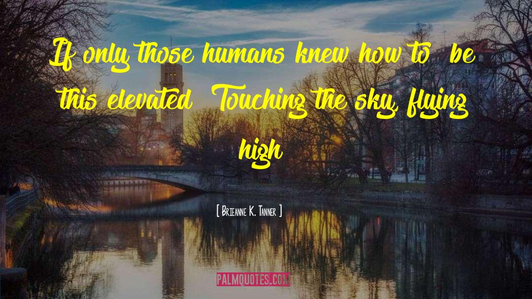 Flying High quotes by Brieanne K. Tanner