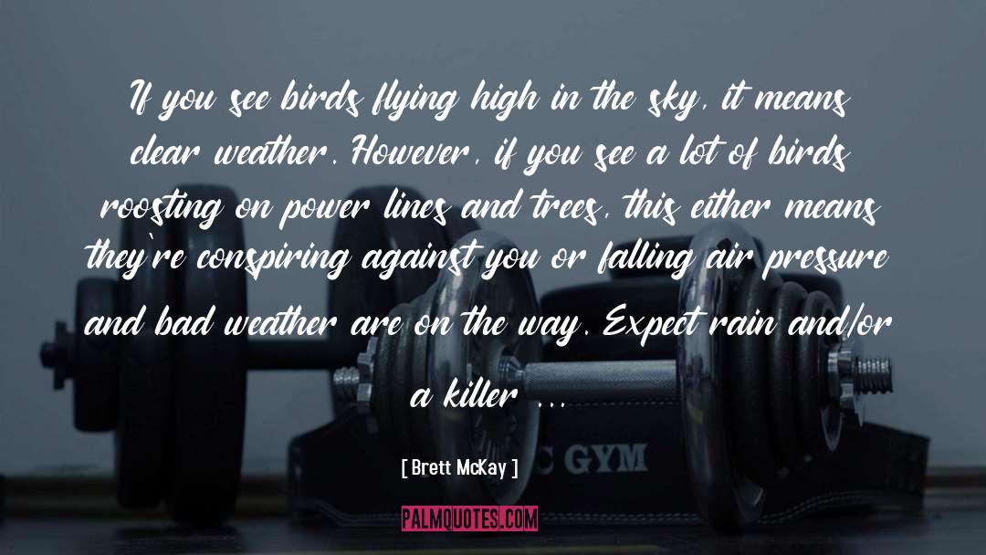 Flying High quotes by Brett McKay