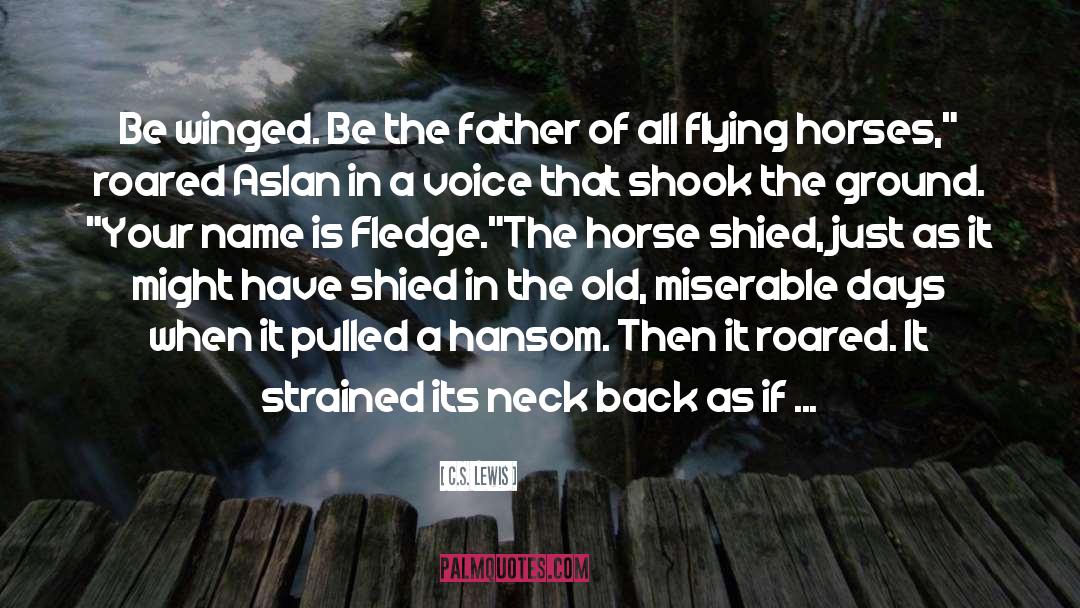 Flying Horses quotes by C.S. Lewis