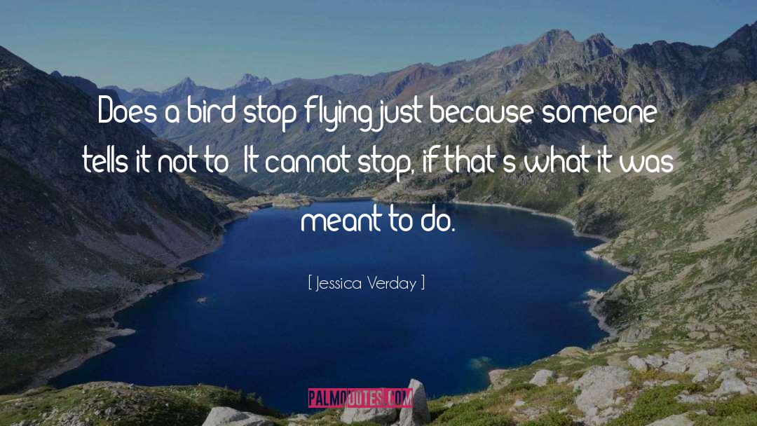 Flying Pigs quotes by Jessica Verday