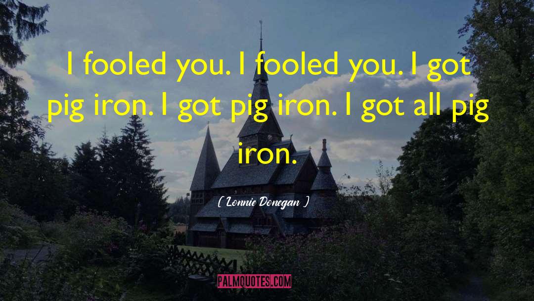 Flying Pigs quotes by Lonnie Donegan