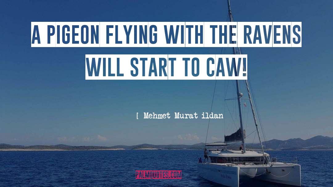 Flying quotes by Mehmet Murat Ildan
