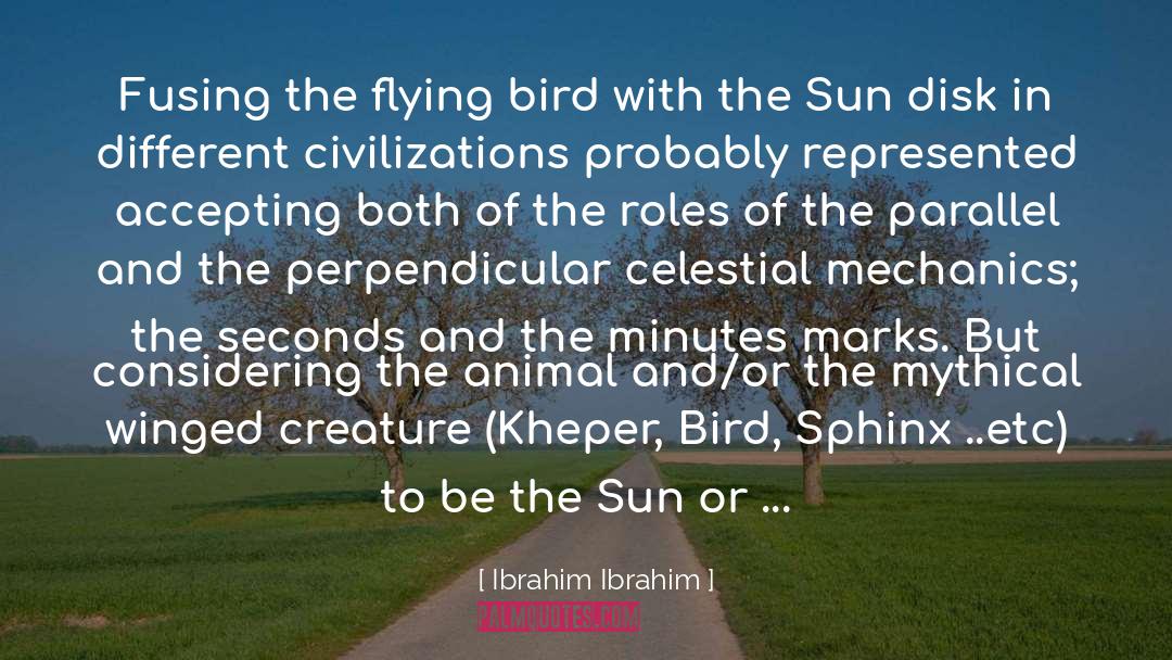 Flying Saucers quotes by Ibrahim Ibrahim