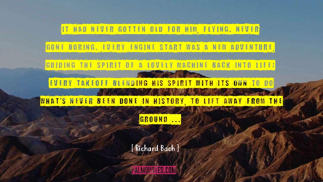 Flying Solo quotes by Richard Bach