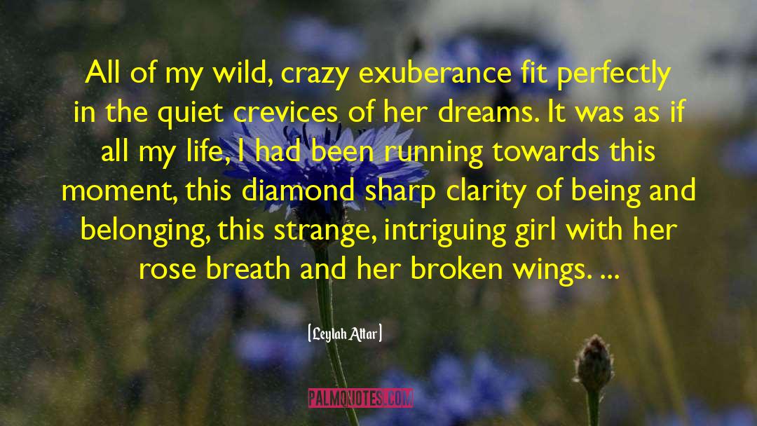 Flyy Girl quotes by Leylah Attar
