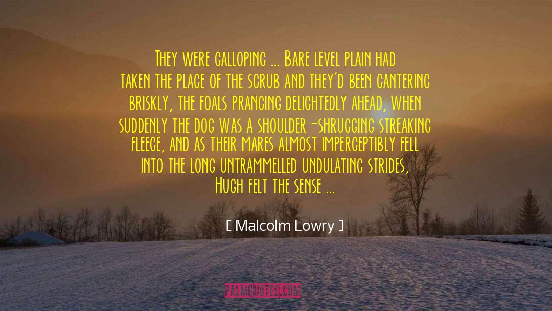Foals quotes by Malcolm Lowry