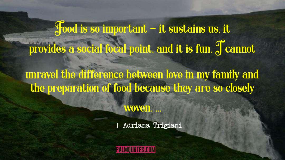 Focal Point quotes by Adriana Trigiani