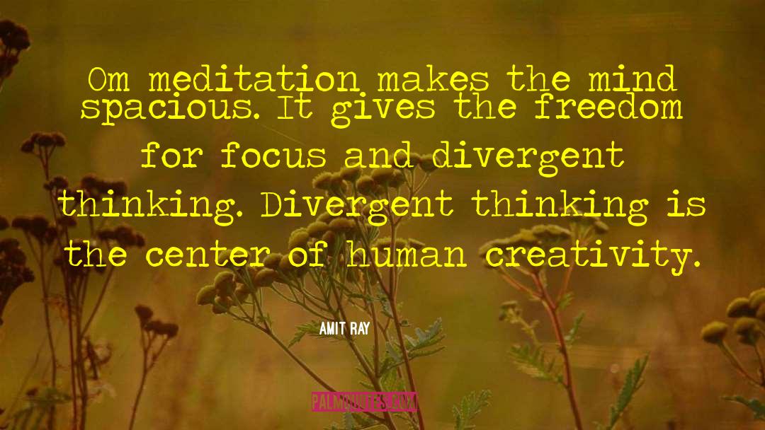 Focus And Creativity quotes by Amit Ray