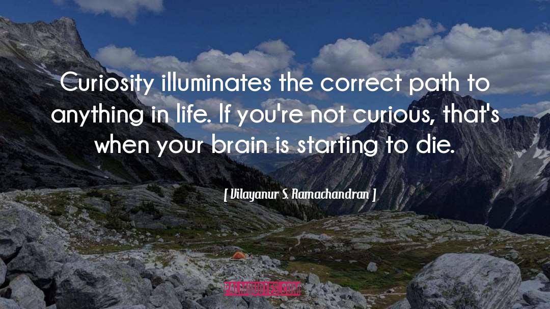 Focus Curiosity quotes by Vilayanur S. Ramachandran