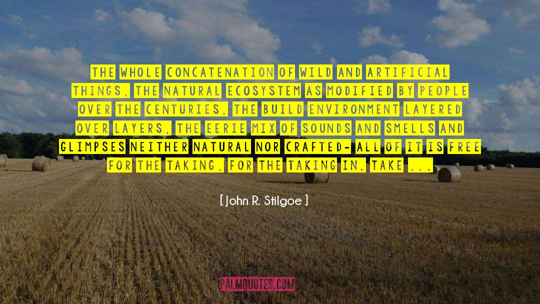 Focus Of The Day quotes by John R. Stilgoe