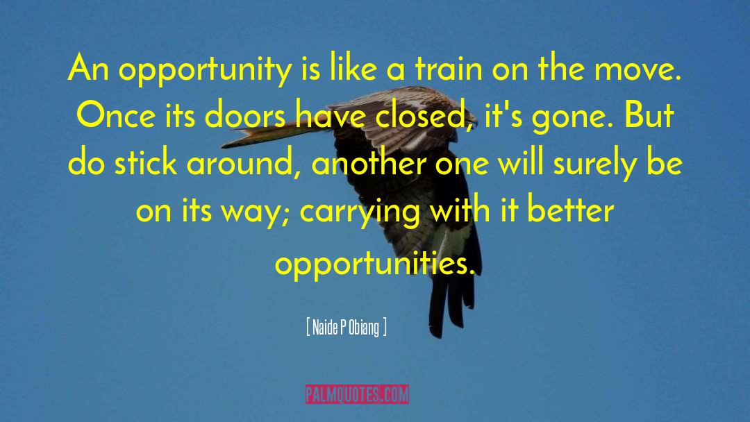 Focus On Opportunities quotes by Naide P Obiang