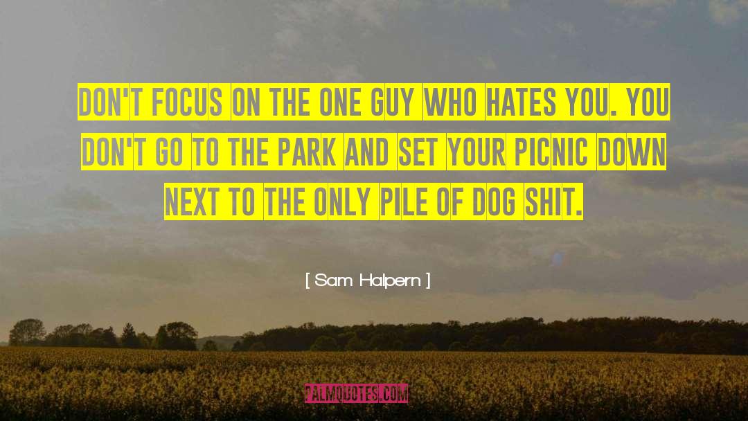 Focus On Positives quotes by Sam Halpern