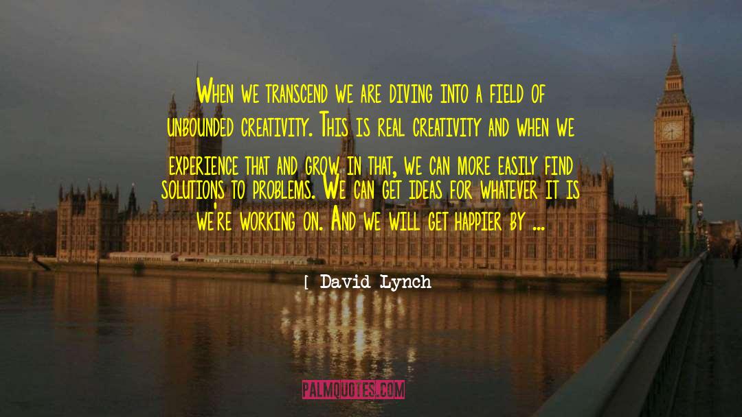 Focus On Solutions quotes by David Lynch