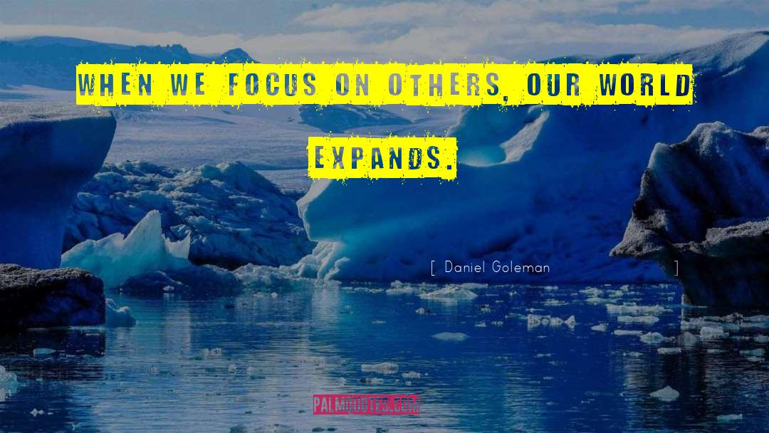 Focus On Solutions quotes by Daniel Goleman