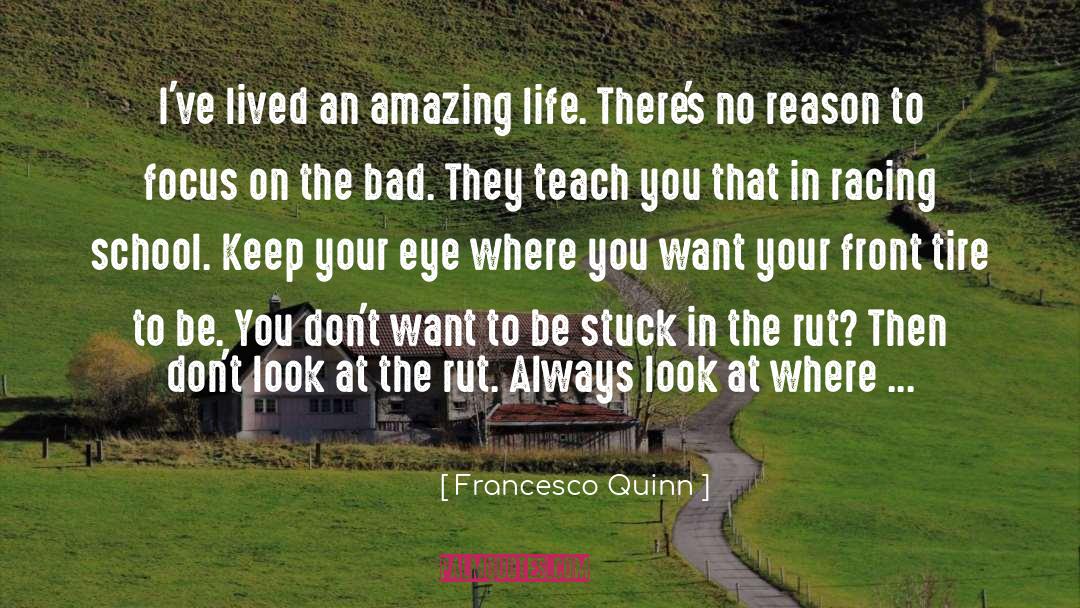 Focus On Success quotes by Francesco Quinn