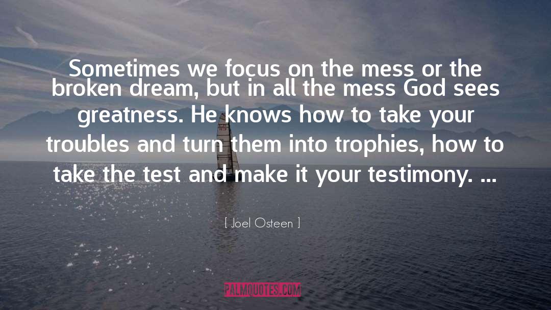 Focus On Your Purpose quotes by Joel Osteen