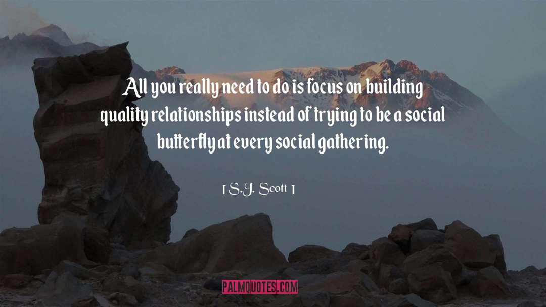 Focus quotes by S.J. Scott