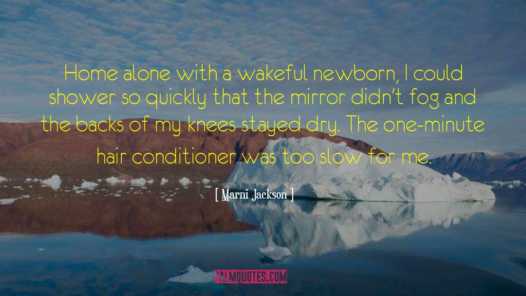 Fog quotes by Marni Jackson