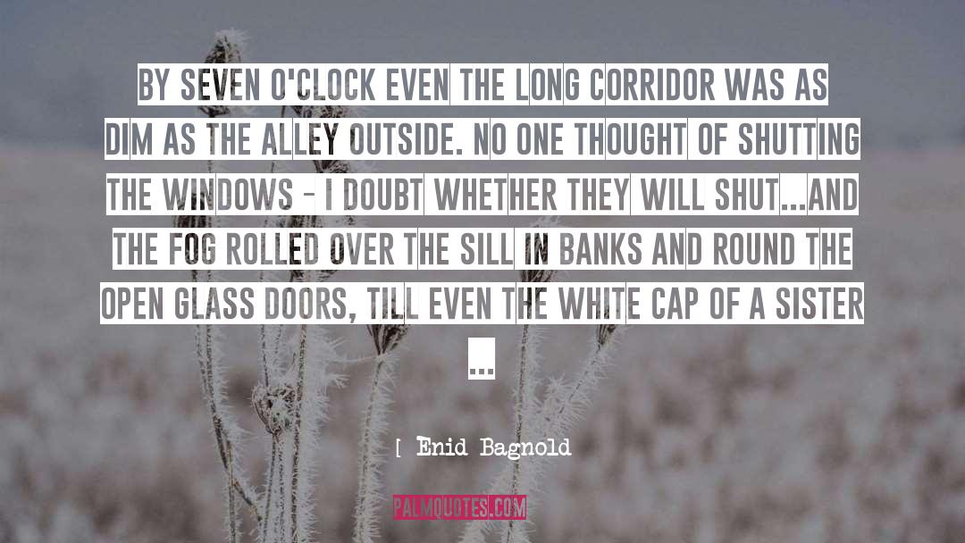 Fog quotes by Enid Bagnold