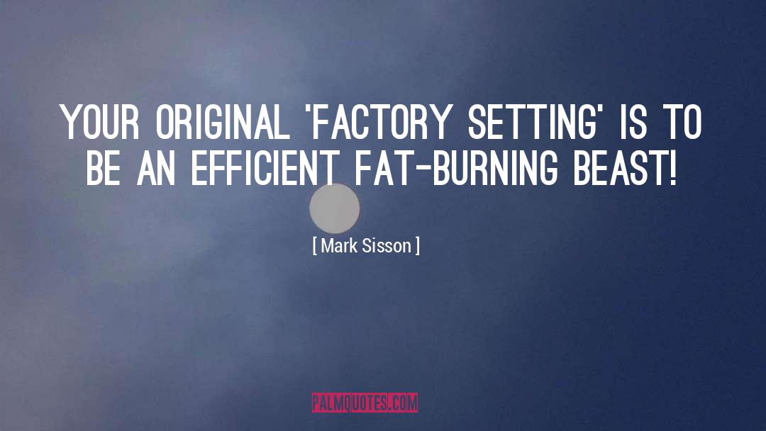 Fogertys Factory quotes by Mark Sisson