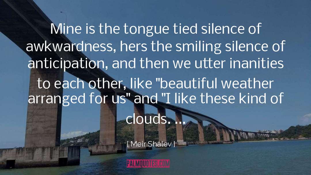 Foggy Weather quotes by Meir Shalev