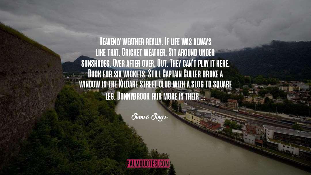 Foggy Weather quotes by James Joyce