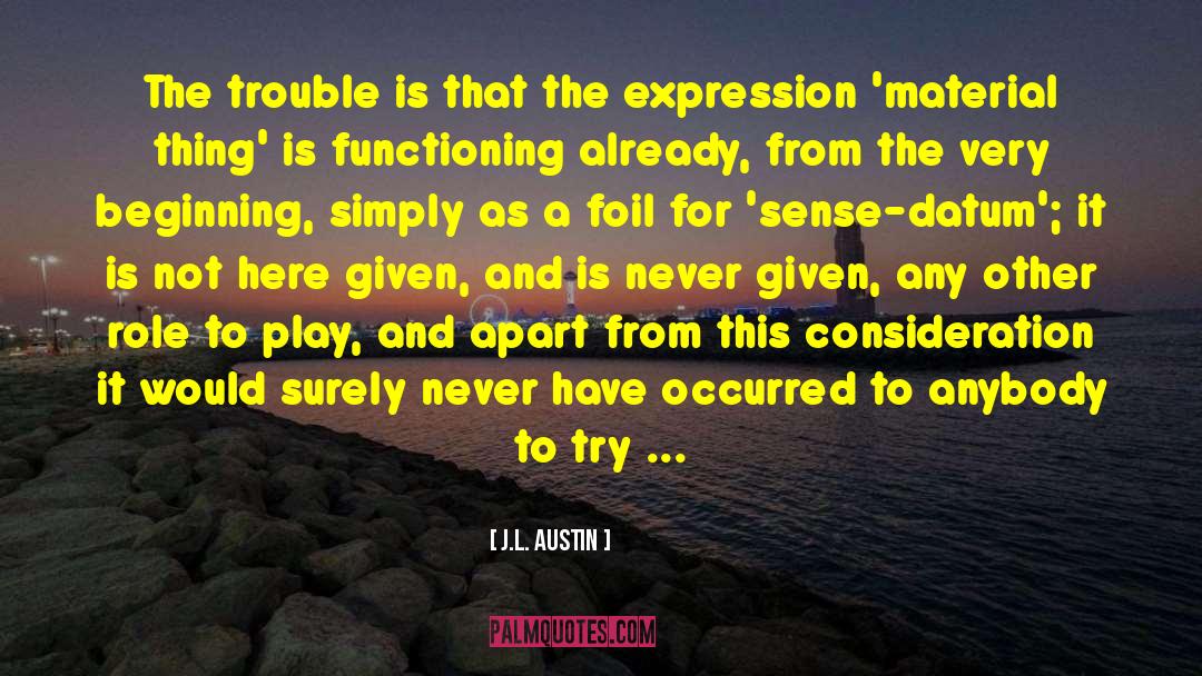 Foil quotes by J.L. Austin