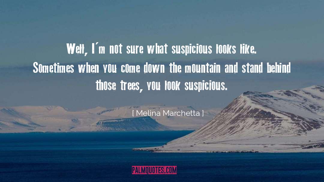 Foley Mountain Westport quotes by Melina Marchetta