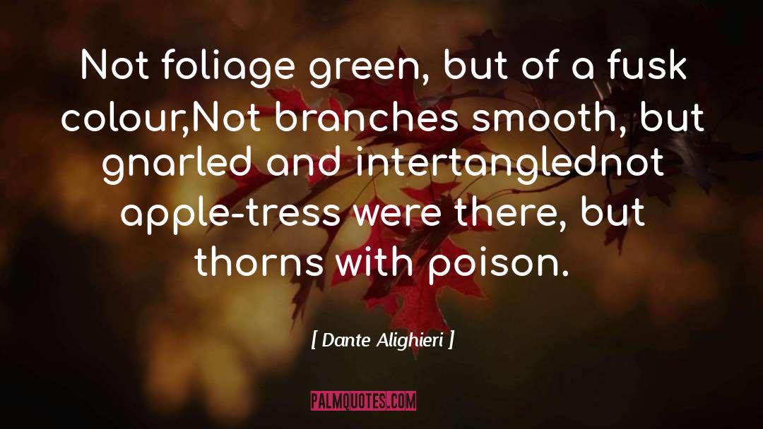 Foliage quotes by Dante Alighieri