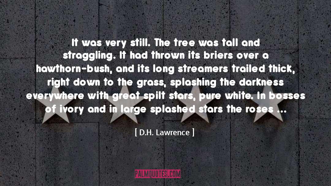 Foliage quotes by D.H. Lawrence