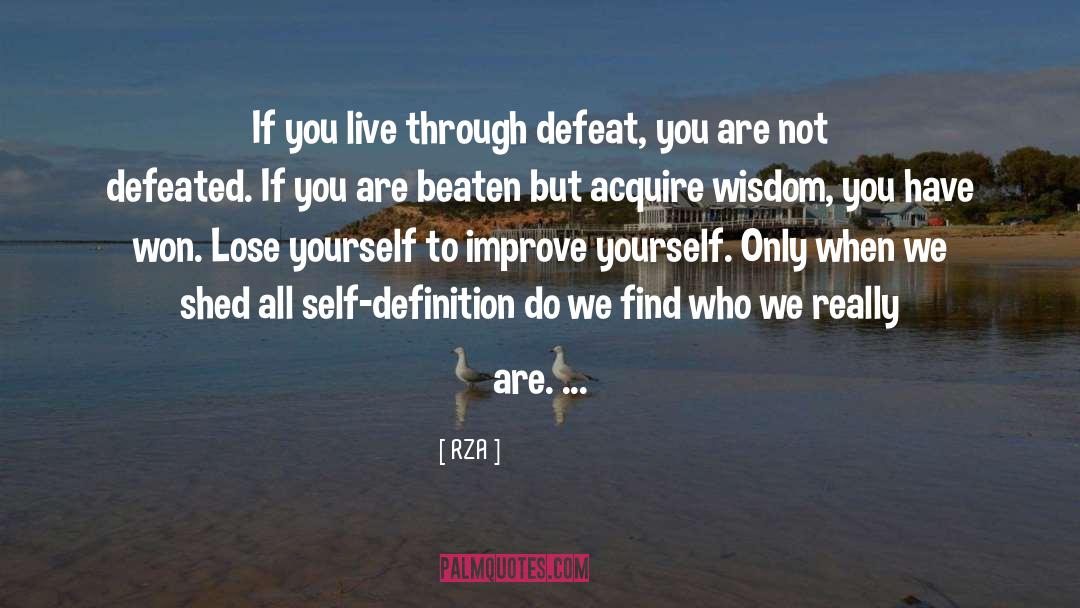 Folk Wisdom quotes by RZA