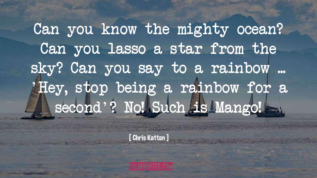 Follow The Rainbow quotes by Chris Kattan