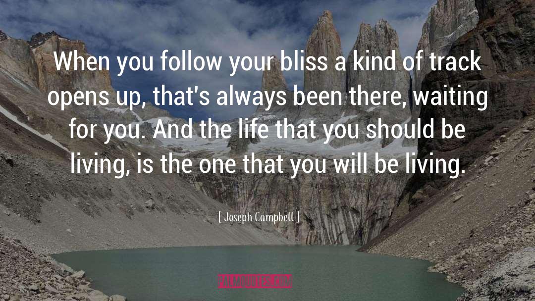 Follow Your Bliss quotes by Joseph Campbell