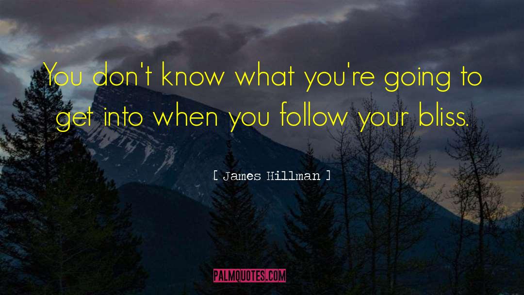 Follow Your Bliss quotes by James Hillman