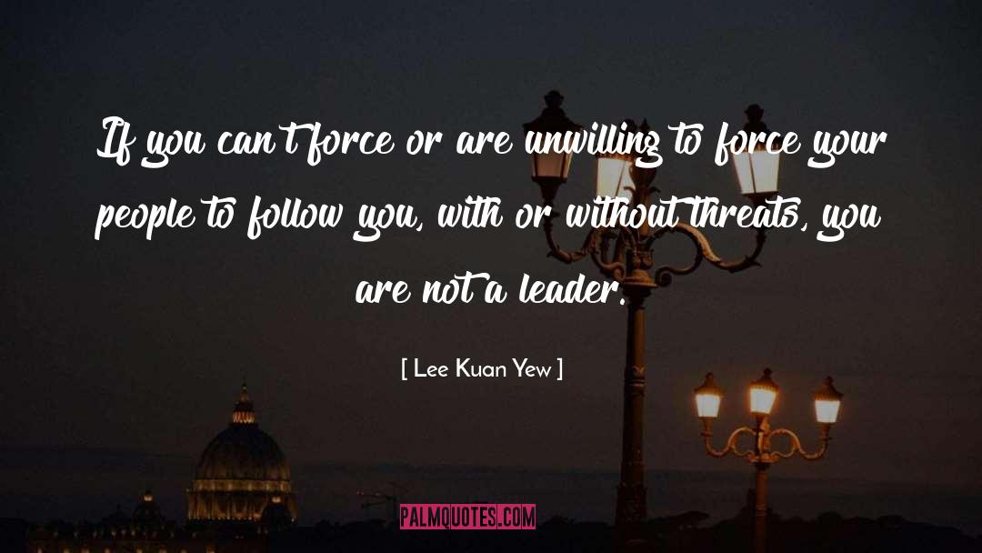 Follow Your Dream quotes by Lee Kuan Yew