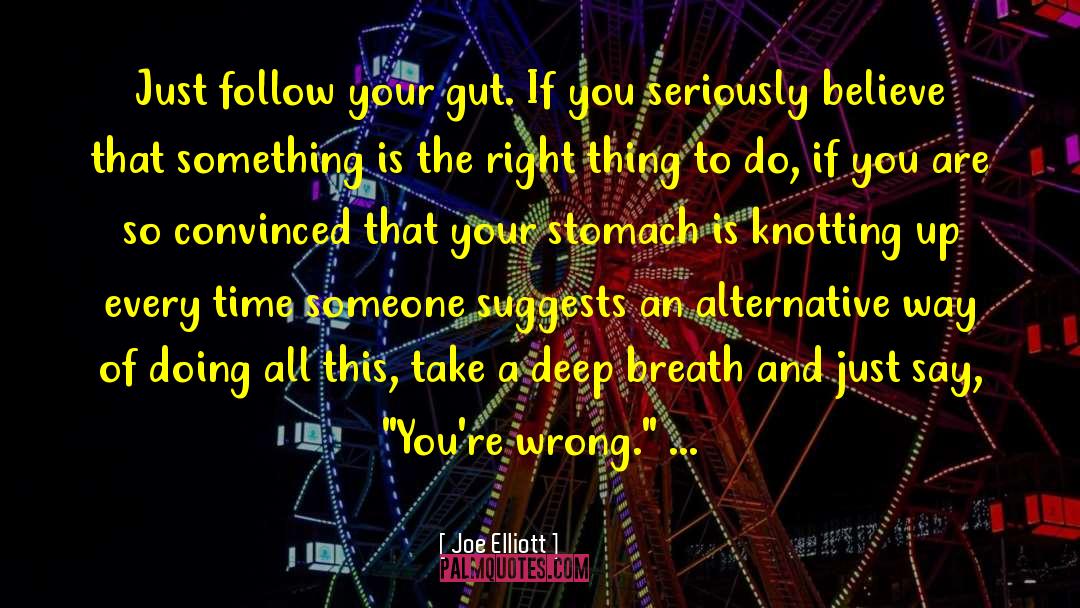 Follow Your Gut quotes by Joe Elliott