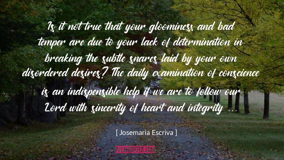 Follow Your Gut quotes by Josemaria Escriva